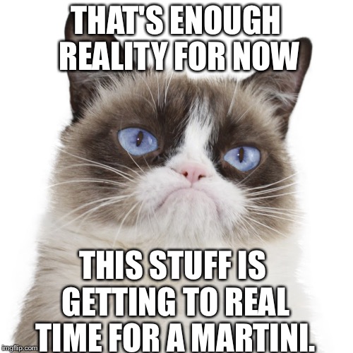  I wish I was blind grumpy cat | THAT'S ENOUGH REALITY FOR NOW; THIS STUFF IS GETTING TO REAL TIME FOR A MARTINI. | image tagged in i wish i was blind grumpy cat | made w/ Imgflip meme maker
