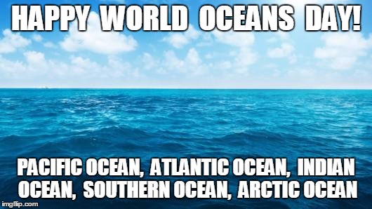 Happy World Oceans Day | HAPPY  WORLD  OCEANS  DAY! PACIFIC OCEAN,  ATLANTIC OCEAN,  INDIAN OCEAN,  SOUTHERN OCEAN,  ARCTIC OCEAN | image tagged in ocean | made w/ Imgflip meme maker
