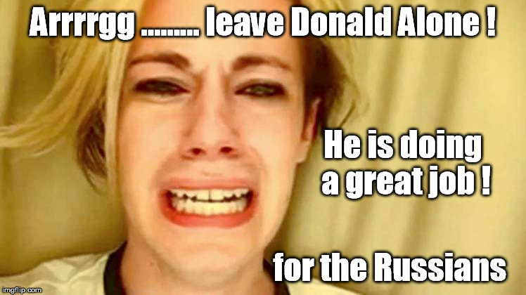 Leave Donald Alone ! | Arrrrgg ......... leave Donald Alone ! He is doing a great job ! for the Russians | image tagged in donald trump | made w/ Imgflip meme maker