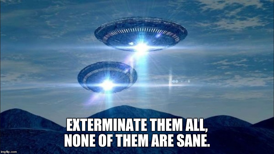 UFO VISIT |  EXTERMINATE THEM ALL, NONE OF THEM ARE SANE. | image tagged in ufo visit | made w/ Imgflip meme maker