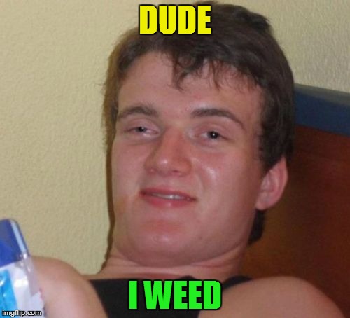 10 Guy Meme | DUDE I WEED | image tagged in memes,10 guy | made w/ Imgflip meme maker