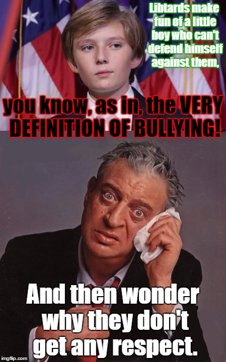 What's he ever done to you? JACKHOLES!!! | Libtards make fun of a little boy who can't defend himself against them, you know, as in, the VERY DEFINITION OF BULLYING! And then wonder why they don't get any respect. | image tagged in memes,barron trump,bullying,libtards,no respect | made w/ Imgflip meme maker