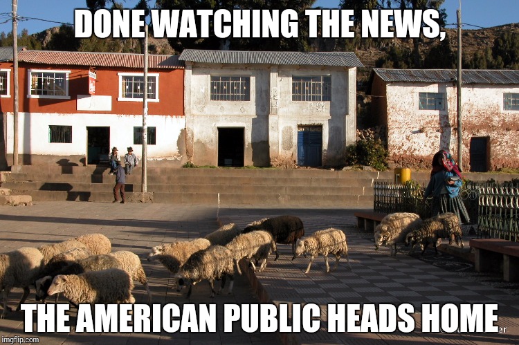 It Was ... Baaaaaaad News | DONE WATCHING THE NEWS, THE AMERICAN PUBLIC HEADS HOME | image tagged in news,memes,sheep,sheeple | made w/ Imgflip meme maker