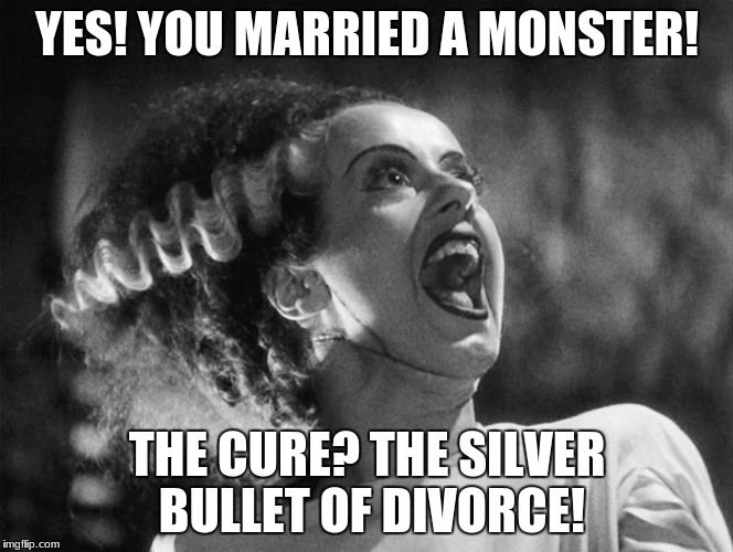 The Bride of Frankenstein | YES! YOU MARRIED A MONSTER! THE CURE? THE SILVER BULLET OF DIVORCE! | image tagged in the bride of frankenstein | made w/ Imgflip meme maker