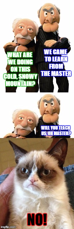 What, you expect me to come up with a funny title, too? | WE CAME TO LEARN FROM THE MASTER; WHAT ARE WE DOING ON THIS COLD, SNOWY MOUNTAIN? WILL YOU TEACH US, OH MASTER? NO! | image tagged in statler and waldorf original gangsters,memes,grumpy cat,guru | made w/ Imgflip meme maker