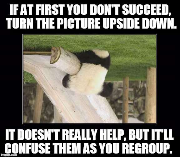 If First You Don't Succeed | IF AT FIRST YOU DON'T SUCCEED, TURN THE PICTURE UPSIDE DOWN. IT DOESN'T REALLY HELP, BUT IT'LL CONFUSE THEM AS YOU REGROUP. | image tagged in vince vance,determination,success,failure,panda,try try again | made w/ Imgflip meme maker