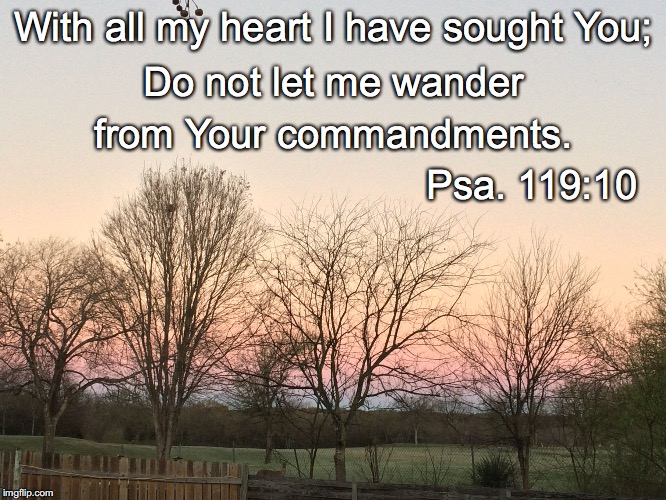 With all my heart I have sought You;; Do not let me wander; from Your commandments. Psa. 119:10 | image tagged in sought | made w/ Imgflip meme maker