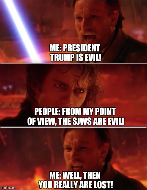 You were my brother, Tim Allen!!! | ME: PRESIDENT TRUMP IS EVIL! PEOPLE: FROM MY POINT OF VIEW, THE SJWS ARE EVIL! ME: WELL, THEN YOU REALLY ARE LOST! | image tagged in from my point of view | made w/ Imgflip meme maker