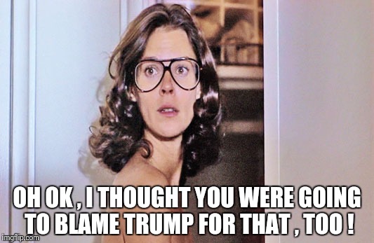 Jobeth Williams | OH OK , I THOUGHT YOU WERE GOING TO BLAME TRUMP FOR THAT , TOO ! | image tagged in jobeth williams | made w/ Imgflip meme maker