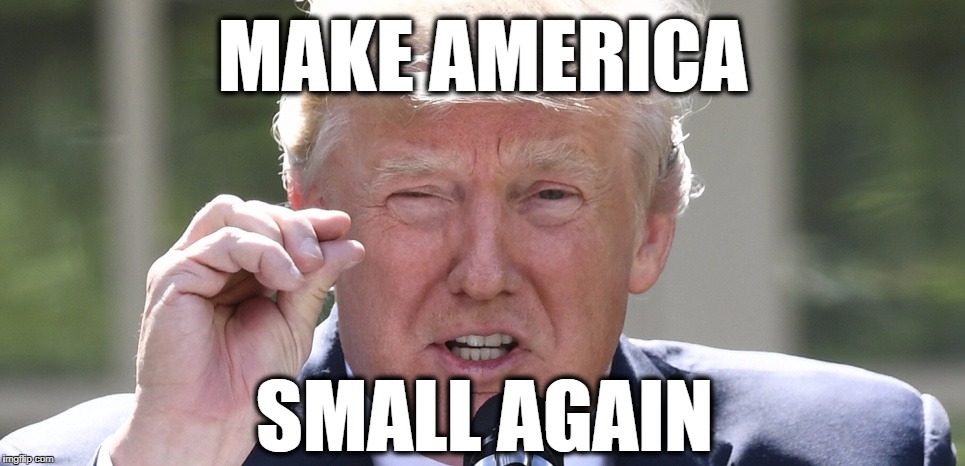 MAKE AMERICA; SMALL AGAIN | image tagged in trump,maga | made w/ Imgflip meme maker