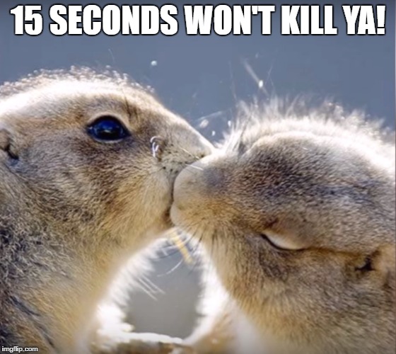 15 SECONDS WON'T KILL YA! | image tagged in love,relationships | made w/ Imgflip meme maker