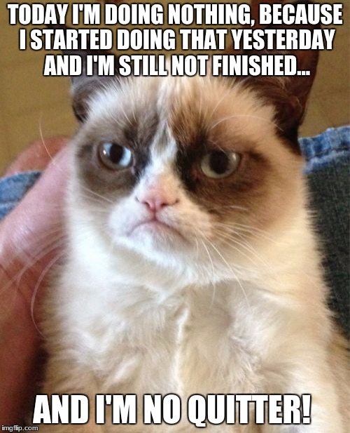 Grumpy Cat | TODAY I'M DOING NOTHING, BECAUSE I STARTED DOING THAT YESTERDAY AND I'M STILL NOT FINISHED... AND I'M NO QUITTER! | image tagged in memes,grumpy cat | made w/ Imgflip meme maker