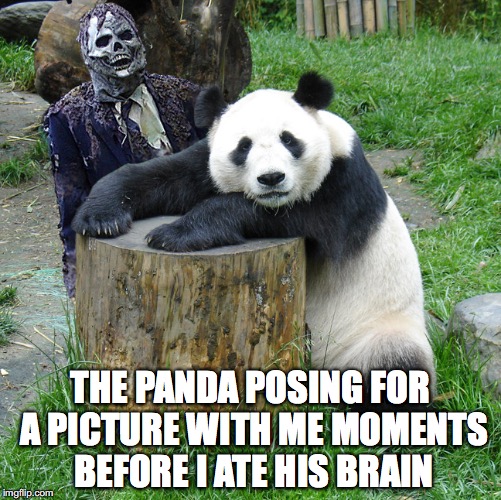 Zombiebaron Goes to the zoo | THE PANDA POSING FOR A PICTURE WITH ME MOMENTS BEFORE I ATE HIS BRAIN | image tagged in panda,zoo,memes | made w/ Imgflip meme maker