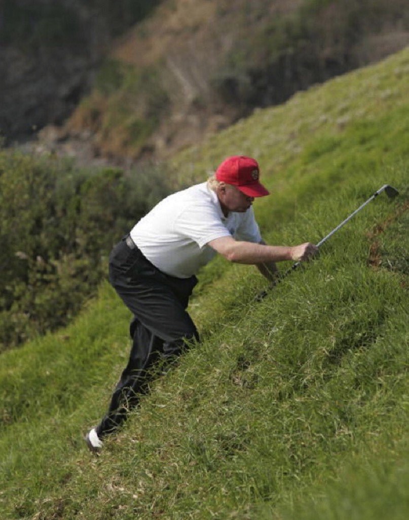 Donald Trump hunting for a golfball Blank Meme Template