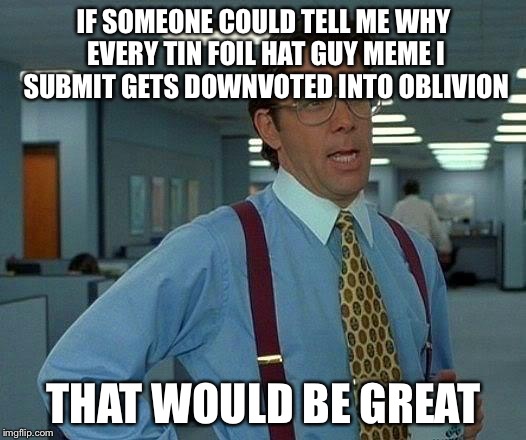 That Would Be Great | IF SOMEONE COULD TELL ME WHY EVERY TIN FOIL HAT GUY MEME I SUBMIT GETS DOWNVOTED INTO OBLIVION; THAT WOULD BE GREAT | image tagged in memes,that would be great | made w/ Imgflip meme maker