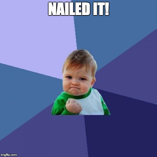 Success Kid | NAILED IT! | image tagged in memes,success kid | made w/ Imgflip meme maker