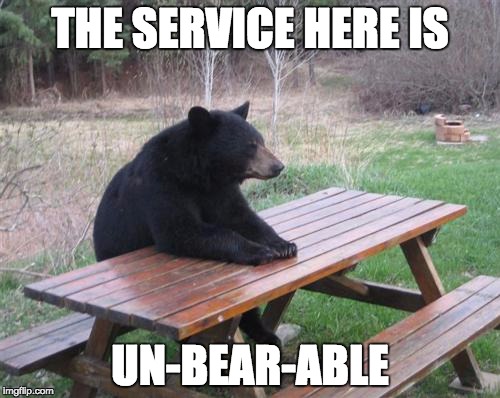 Bad Luck Bear | THE SERVICE HERE IS; UN-BEAR-ABLE | image tagged in memes,bad luck bear | made w/ Imgflip meme maker