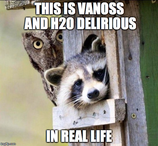 Vanoss and H2O Delirious in Real Life | THIS IS VANOSS AND H2O DELIRIOUS; IN REAL LIFE | image tagged in vanossgaming,h2o delirious,memes,youtube,youtuber | made w/ Imgflip meme maker