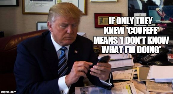 IF ONLY THEY KNEW 'COVFEFE' MEANS 'I DON'T KNOW WHAT I'M DOING' | made w/ Imgflip meme maker