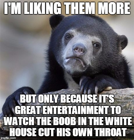 Confession Bear Meme | I'M LIKING THEM MORE BUT ONLY BECAUSE IT'S GREAT ENTERTAINMENT TO WATCH THE BOOB IN THE WHITE HOUSE CUT HIS OWN THROAT | image tagged in memes,confession bear | made w/ Imgflip meme maker