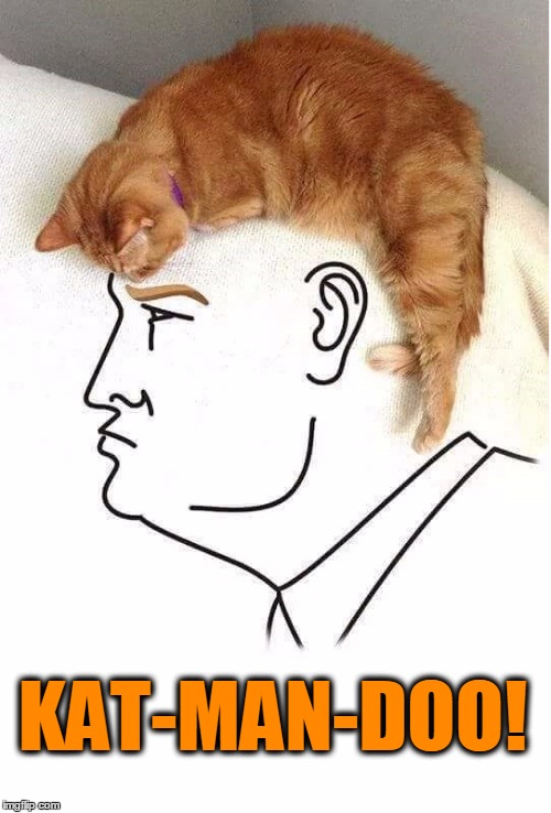 Making America Feline Again | KAT-MAN-DOO! | image tagged in vince vance,cats,trump with cat hair,kathmandu,donald trump,maga | made w/ Imgflip meme maker