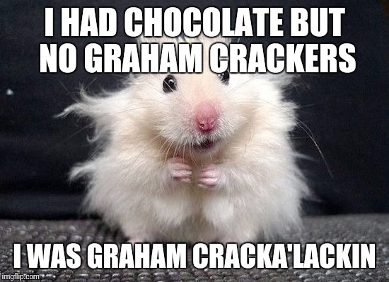 hamster | I HAD CHOCOLATE BUT NO GRAHAM CRACKERS; I WAS GRAHAM CRACKA'LACKIN | image tagged in hamster | made w/ Imgflip meme maker