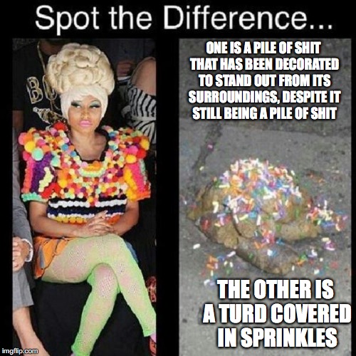 Nicki Minaj vs. Shit | ONE IS A PILE OF SHIT THAT HAS BEEN DECORATED TO STAND OUT FROM ITS SURROUNDINGS, DESPITE IT STILL BEING A PILE OF SHIT; THE OTHER IS A TURD COVERED IN SPRINKLES | image tagged in nicki minaj,shit,memes | made w/ Imgflip meme maker