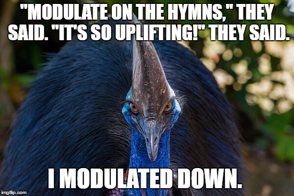 Church Music Cassowary | "MODULATE ON THE HYMNS," THEY SAID. "IT'S SO UPLIFTING!" THEY SAID. I MODULATED DOWN. | image tagged in church,classical music,musicians | made w/ Imgflip meme maker
