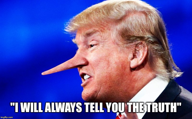 "I WILL ALWAYS TELL YOU THE TRUTH" | image tagged in donald trump | made w/ Imgflip meme maker