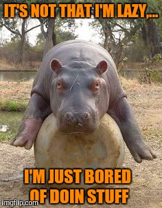 Happy hippo | IT'S NOT THAT I'M LAZY,... I'M JUST BORED OF DOIN STUFF | image tagged in happy hippo | made w/ Imgflip meme maker