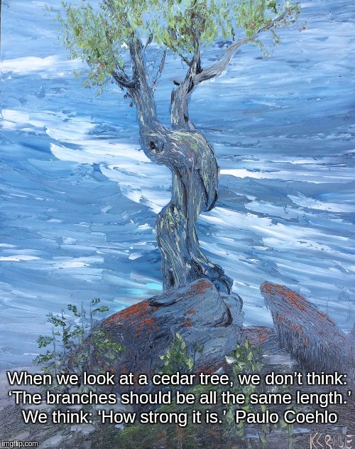 When we look at a cedar tree, we don’t think: ‘The branches should be all the same length.’ We think: ‘How strong it is.’

Paulo Coehlo | image tagged in spirit tree grand portage | made w/ Imgflip meme maker