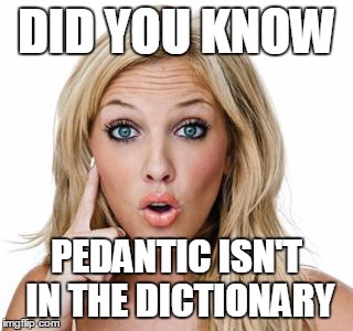 Dumb blonde | DID YOU KNOW; PEDANTIC ISN'T IN THE DICTIONARY | image tagged in dumb blonde | made w/ Imgflip meme maker