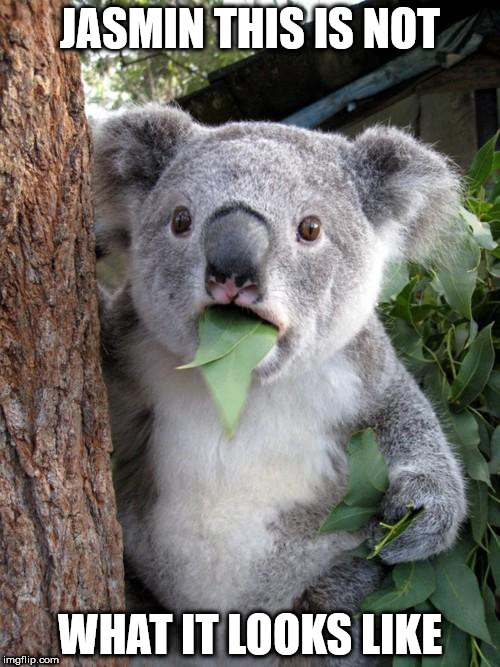 Cheating on my diet | JASMIN THIS IS NOT; WHAT IT LOOKS LIKE | image tagged in memes,surprised koala,animals,diet | made w/ Imgflip meme maker