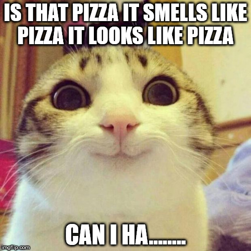 When someone brings pizza home | IS THAT PIZZA IT
SMELLS LIKE PIZZA
IT LOOKS LIKE PIZZA; CAN I HA........ | image tagged in memes,smiling cat,animals,pizza,cute,creepy | made w/ Imgflip meme maker