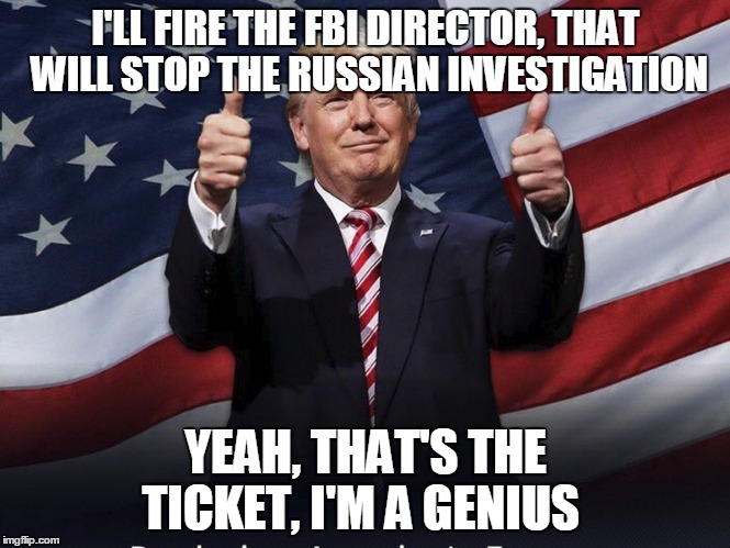 Donald Trump Thumbs Up | I'LL FIRE THE FBI DIRECTOR, THAT WILL STOP THE RUSSIAN INVESTIGATION; YEAH, THAT'S THE TICKET, I'M A GENIUS | image tagged in donald trump thumbs up | made w/ Imgflip meme maker