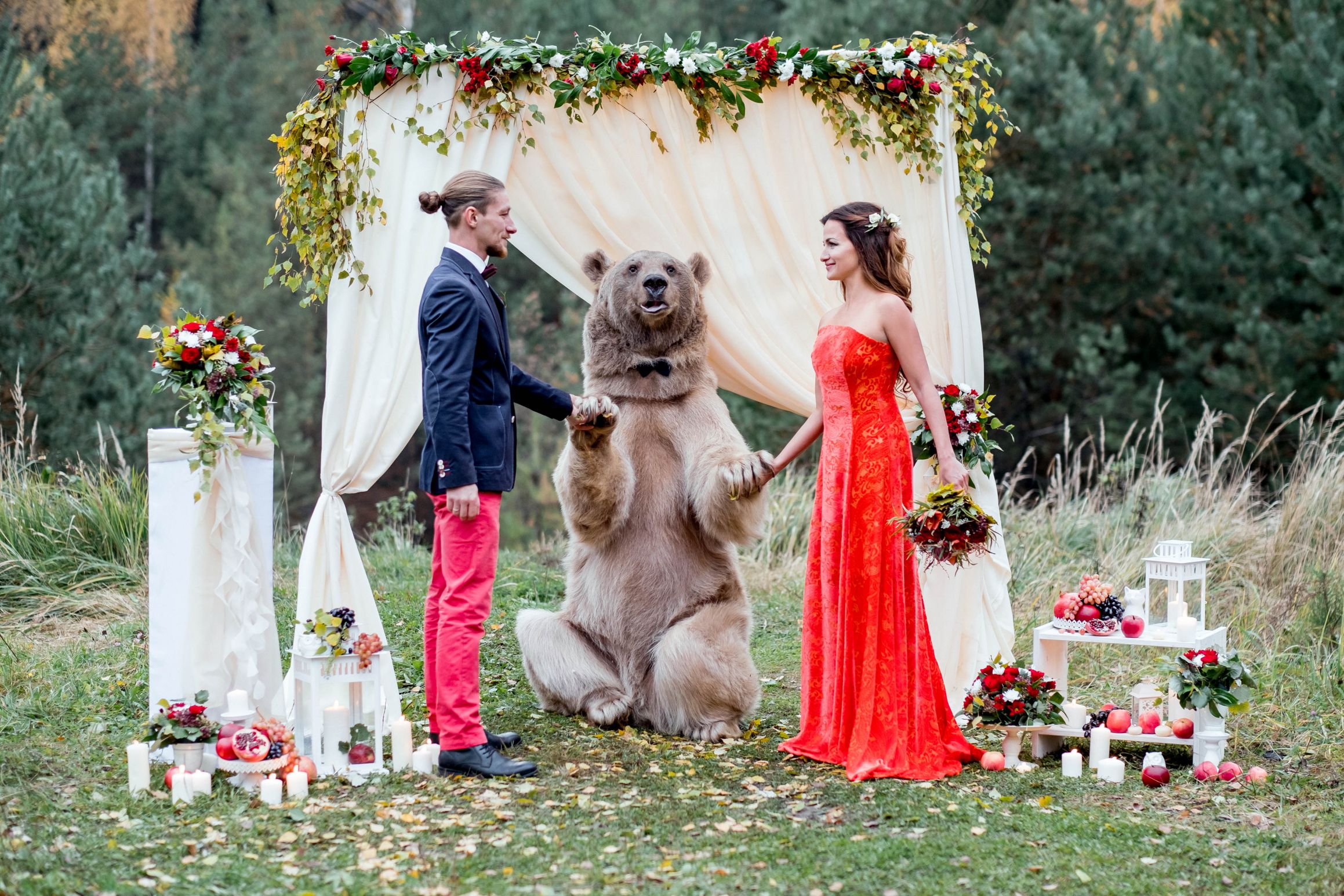 bear marrying couple Blank Meme Template