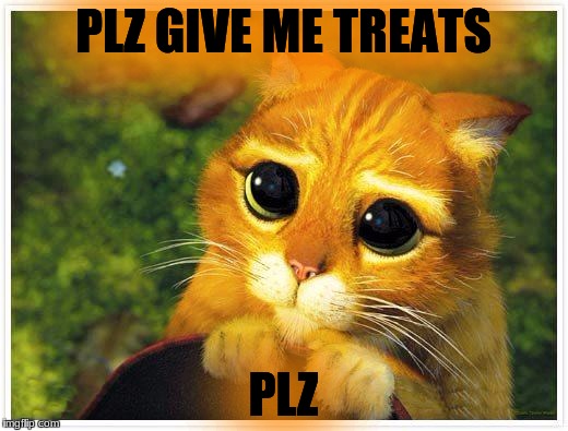 Sorry Kitty | PLZ GIVE ME TREATS; PLZ | image tagged in sorry kitty | made w/ Imgflip meme maker
