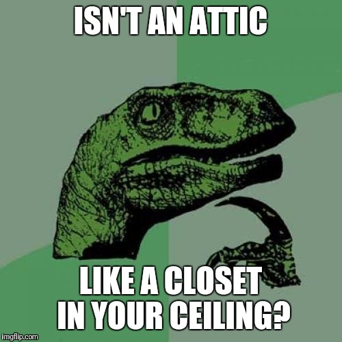 Well...We Do Store Things in There... | ISN'T AN ATTIC; LIKE A CLOSET IN YOUR CEILING? | image tagged in memes,philosoraptor,attic,ceiling,closet | made w/ Imgflip meme maker
