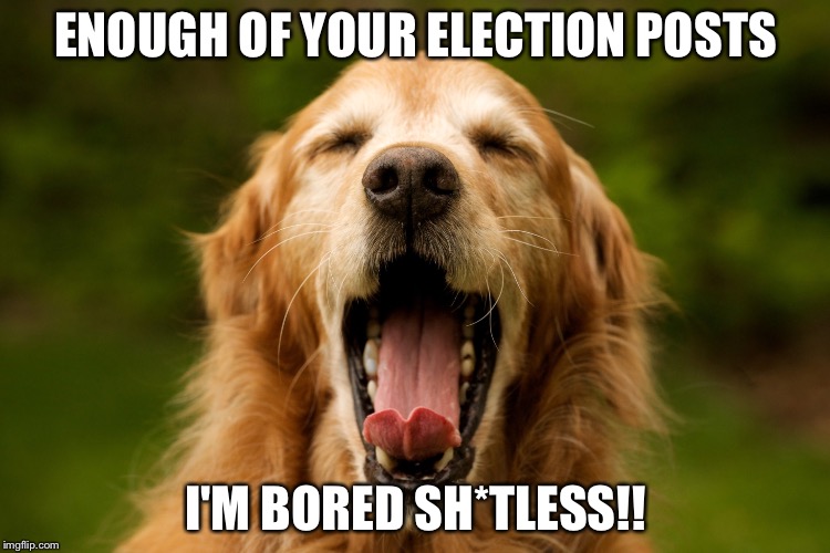 yawn | ENOUGH OF YOUR ELECTION POSTS; I'M BORED SH*TLESS!! | image tagged in yawn | made w/ Imgflip meme maker