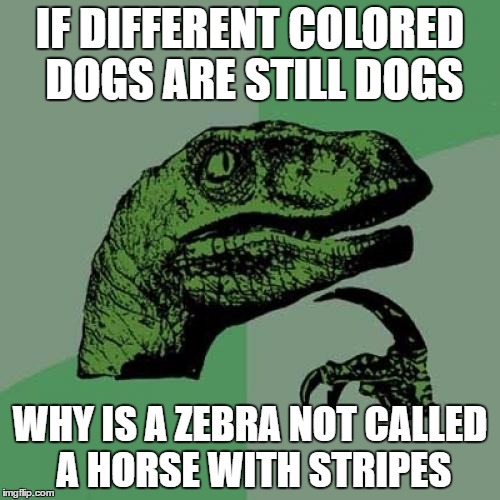 Philosoraptor | IF DIFFERENT COLORED DOGS ARE STILL DOGS; WHY IS A ZEBRA NOT CALLED A HORSE WITH STRIPES | image tagged in memes,philosoraptor | made w/ Imgflip meme maker