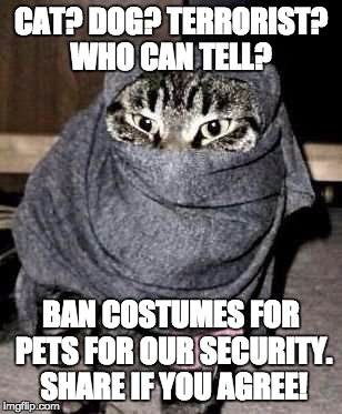 Terrorist cat. | CAT? DOG? TERRORIST? WHO CAN TELL? BAN COSTUMES FOR PETS FOR OUR SECURITY. SHARE IF YOU AGREE! | image tagged in pets,terrorism | made w/ Imgflip meme maker