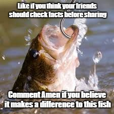 fish hook | Like if you think your friends should check facts before sharing; Comment Amen if you believe it makes a difference to this fish | image tagged in fish hook | made w/ Imgflip meme maker