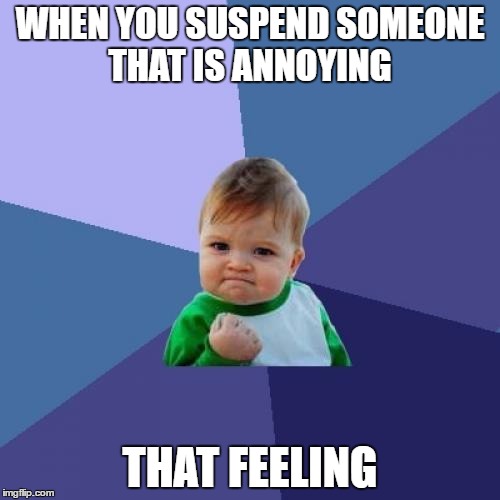 Success Kid Meme | WHEN YOU SUSPEND SOMEONE THAT IS ANNOYING; THAT FEELING | image tagged in memes,success kid | made w/ Imgflip meme maker