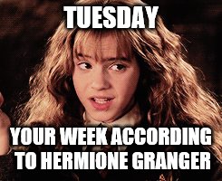 TUESDAY; YOUR WEEK ACCORDING TO HERMIONE GRANGER | made w/ Imgflip meme maker