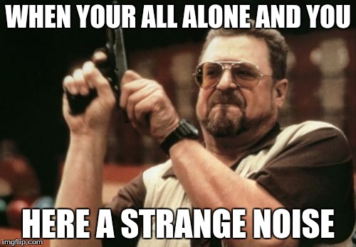 Am I The Only One Around Here Meme | WHEN YOUR ALL ALONE AND YOU; HERE A STRANGE NOISE | image tagged in memes,am i the only one around here | made w/ Imgflip meme maker