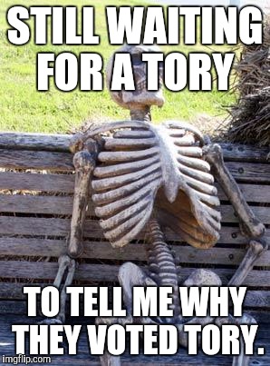 Waiting Skeleton Meme | STILL WAITING FOR A TORY; TO TELL ME WHY THEY VOTED TORY. | image tagged in memes,waiting skeleton | made w/ Imgflip meme maker