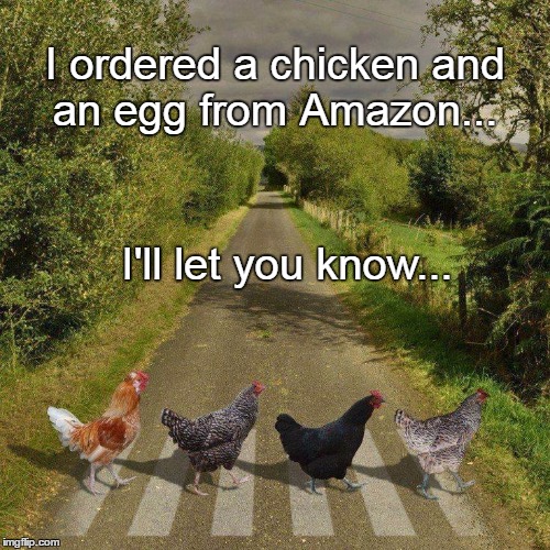 I ordered a chicken and an egg from Amazon... I'll let you know... | image tagged in chicken,egg,amazon | made w/ Imgflip meme maker
