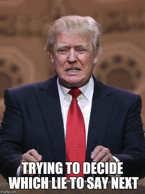 Donald Trump | TRYING TO DECIDE WHICH LIE TO SAY NEXT | image tagged in donald trump | made w/ Imgflip meme maker