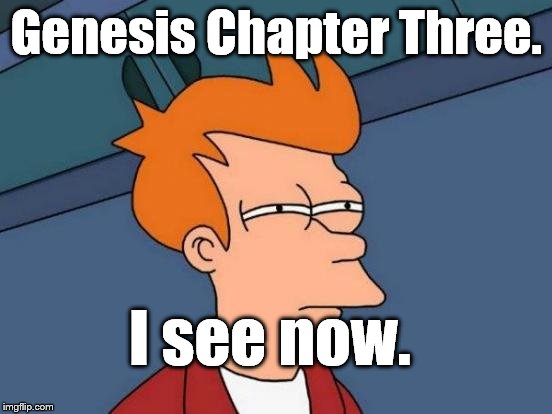 Futurama Fry Meme | Genesis Chapter Three. I see now. | image tagged in memes,futurama fry | made w/ Imgflip meme maker