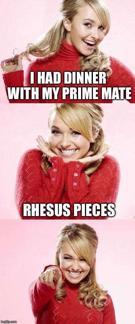 Bad Pun Hayden | I HAD DINNER WITH MY PRIME MATE; RHESUS PIECES | image tagged in hayden red pun,memes | made w/ Imgflip meme maker